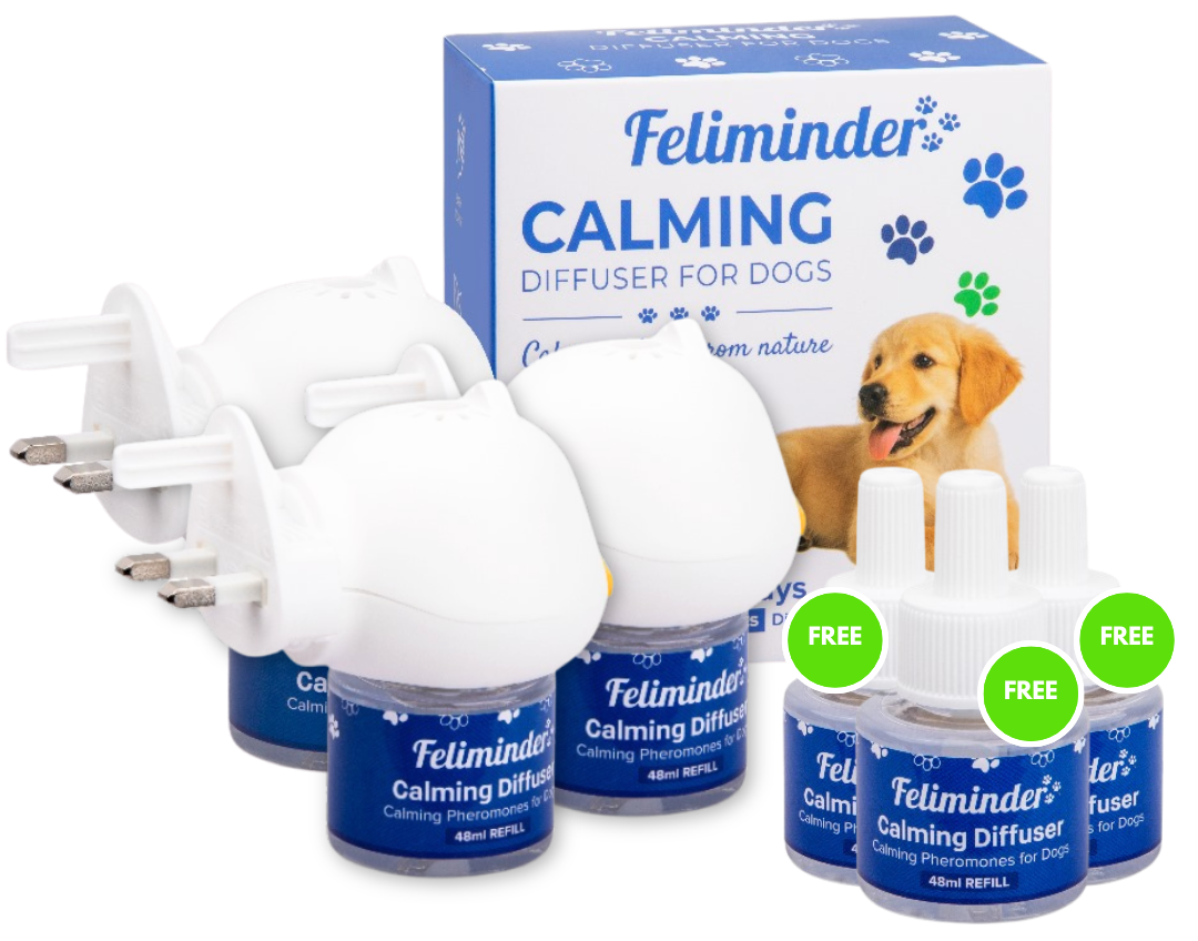 3x Calming Diffusers for Dog (+3 FREE Refills)