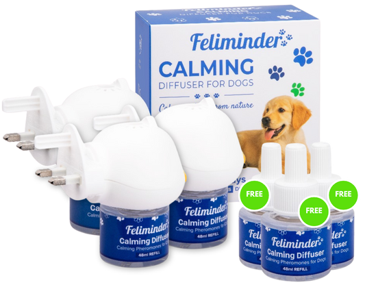 3x Calming Diffusers for Dog (+3 FREE Refills)