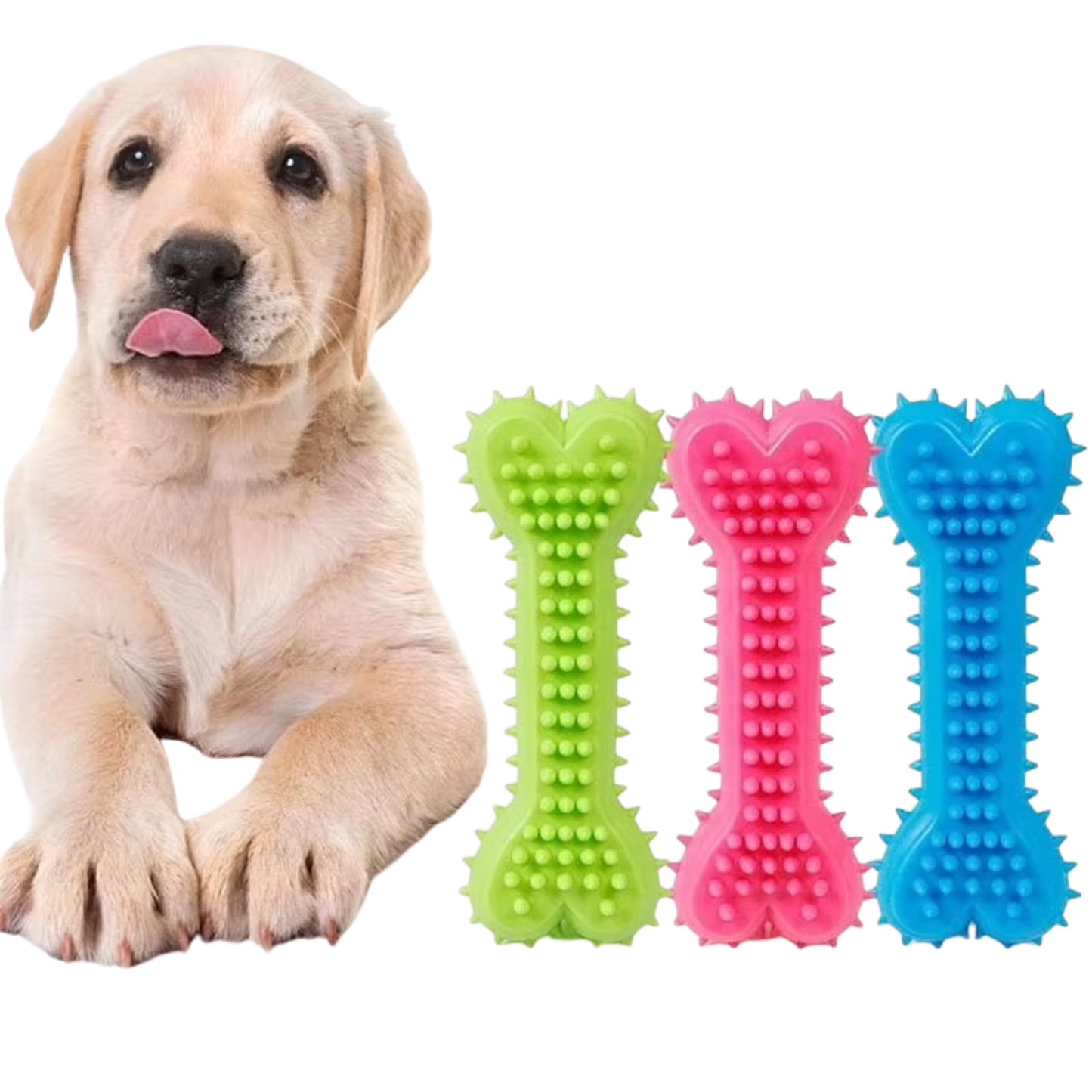 Feliminder |  Dental Chew Bone