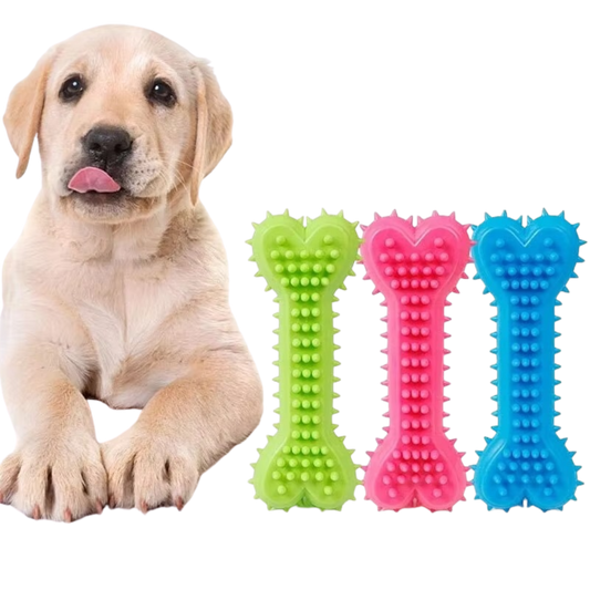 Feliminder |  Dental Chew Bone