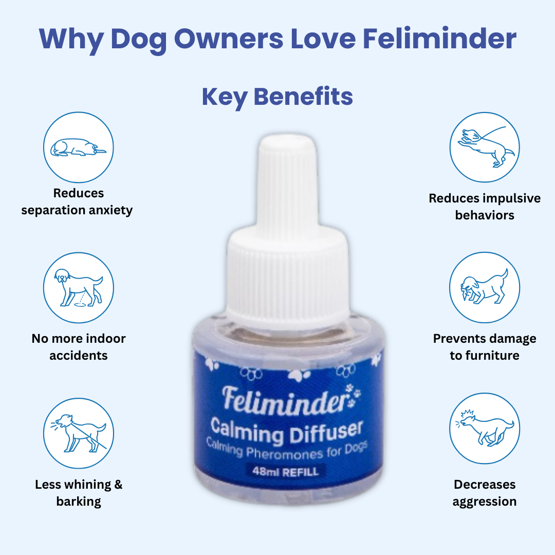 Feliminder | Calming Diffuser for Dogs