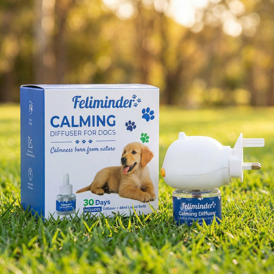 Calming Diffuser for Dogs
